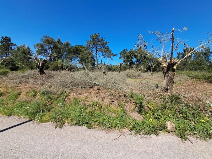 Terreno para Venda em Eiras e São Paulo de Frades Foto 11