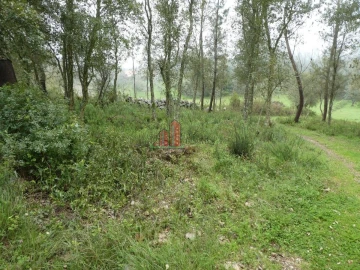 Terreno para Venda em Ansião