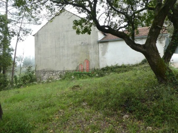 Terreno para Venda em Ansião