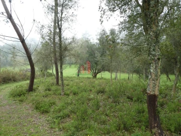 Terreno para Venda em Ansião