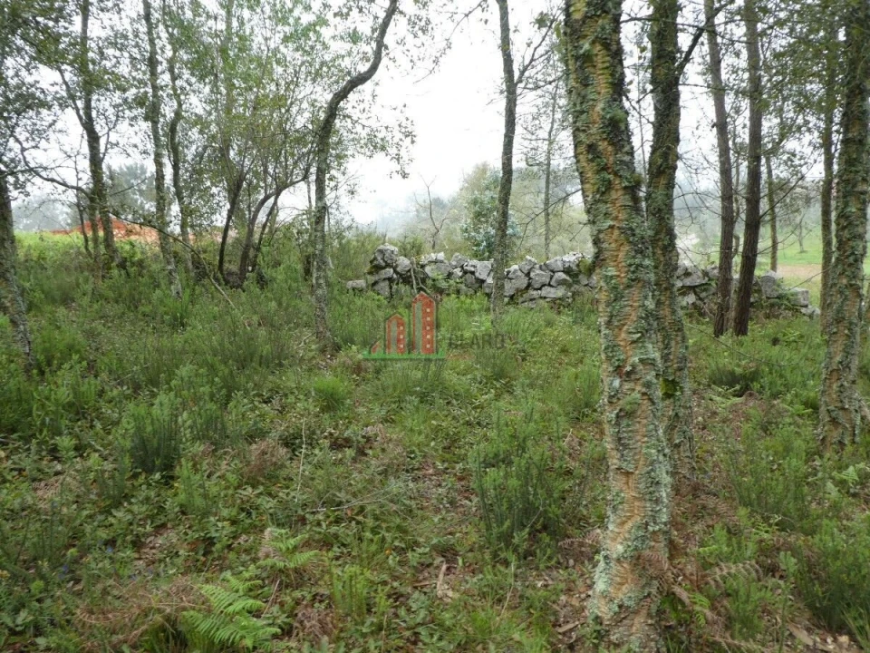 Terreno para Venda em Ansião Foto 8