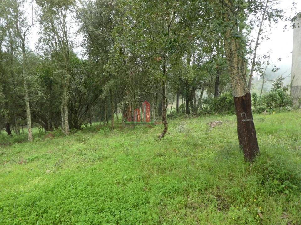 Terreno para Venda em Ansião Foto 4