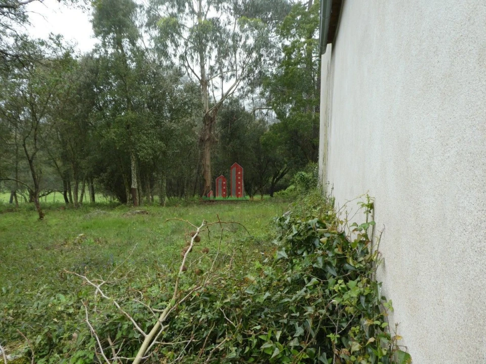 Terreno para Venda em Ansião Foto 10