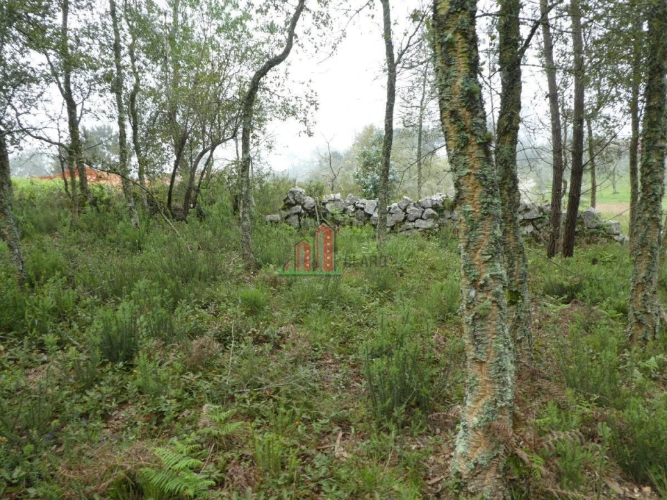 Terreno para Venda em Ansião Foto 8