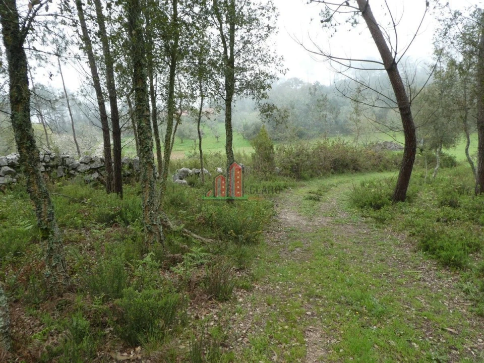 Terreno para Venda em Ansião Foto 7