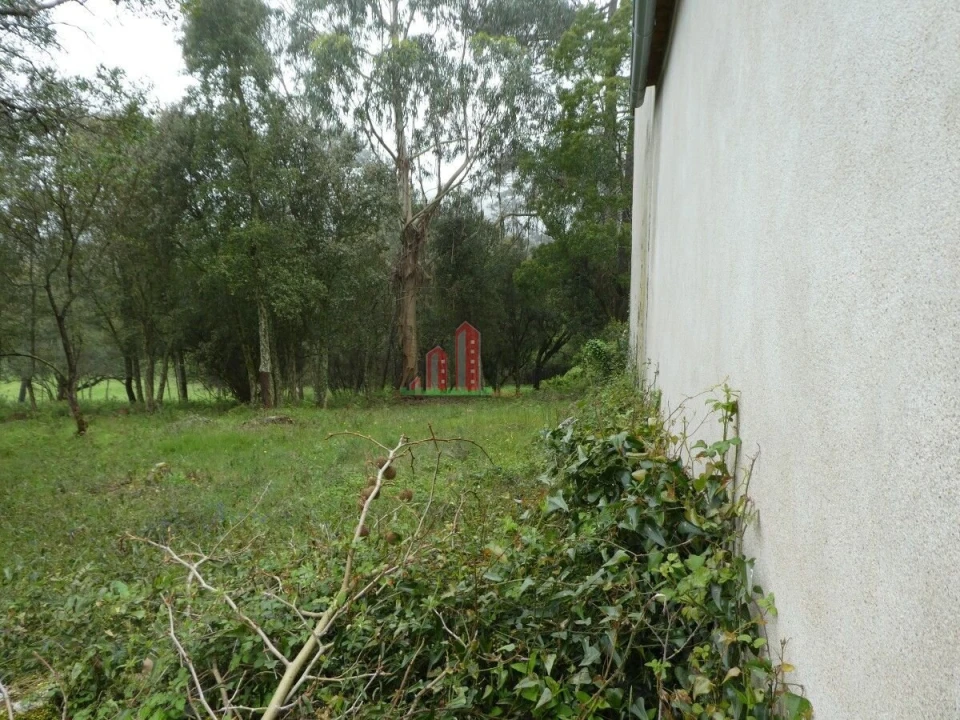 Terreno para Venda em Ansião Foto 10