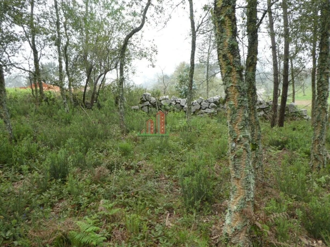 Terreno para Venda em Ansião Foto 8