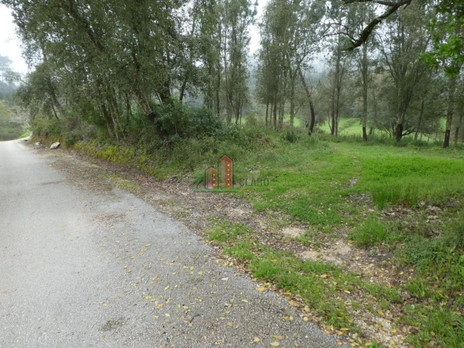 Terreno para Venda em Ansião Foto 2
