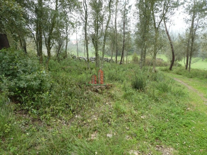 Terreno para Venda em Ansião Foto 5