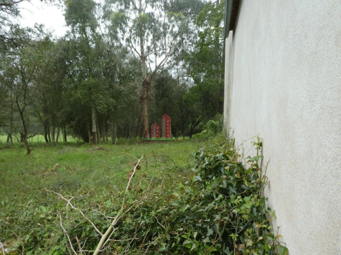 Terreno para Venda em Ansião Foto 10