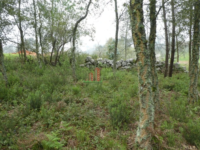 Terreno para Venda em Ansião Foto 8