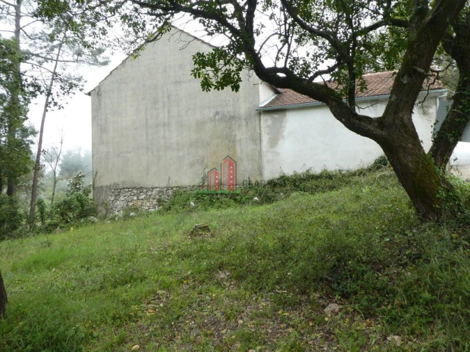 Terreno para Venda em Ansião Foto 3