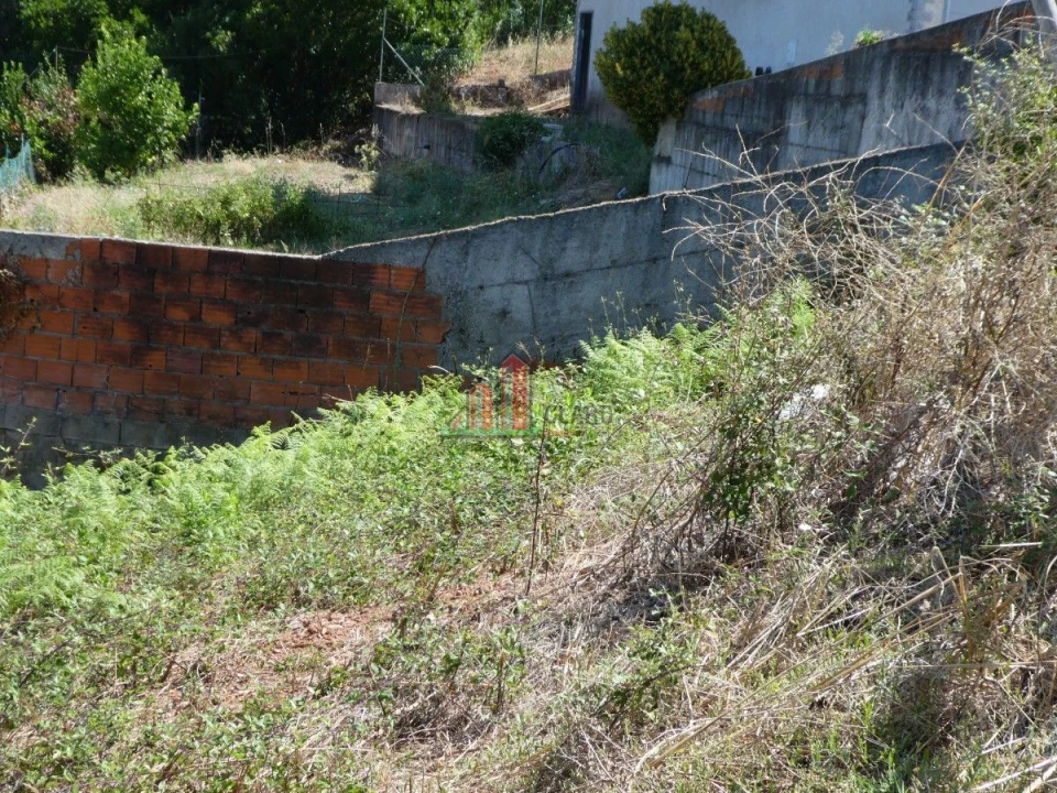 Terreno para Venda em Ceira Foto 10