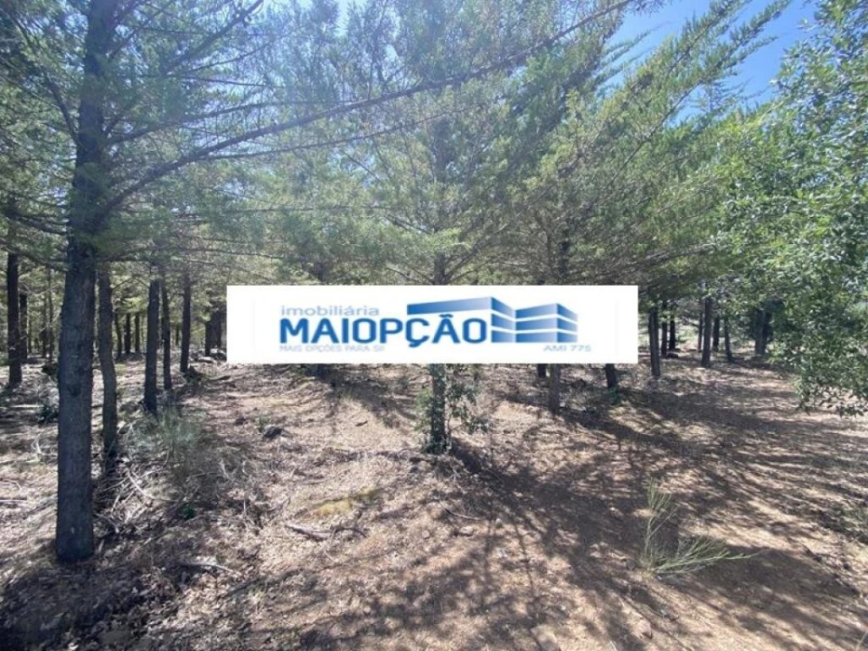 Terreno para Venda em Vimioso Foto 3