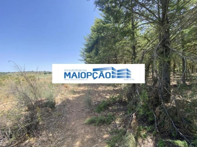 Terreno para Venda em Vimioso