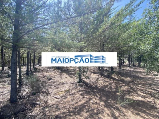 Terreno para Venda em Vimioso Foto 3