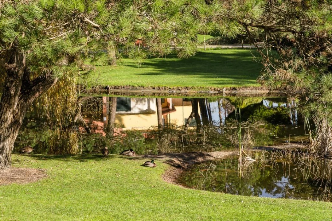 Moradia T0 para Venda em Praia de Mira Foto 18