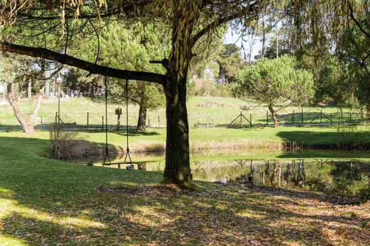 Moradia T0 para Venda em Praia de Mira Foto 17