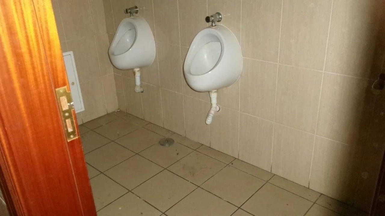 Prédio para Venda em Valongo dos Azeites Foto 9