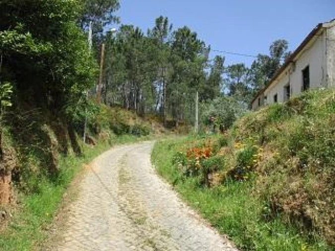 Moradia T3 para Venda em Almoster Foto 7