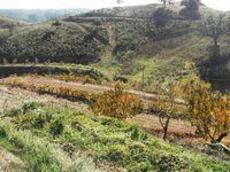 Terreno para Venda em Odeleite Foto 2