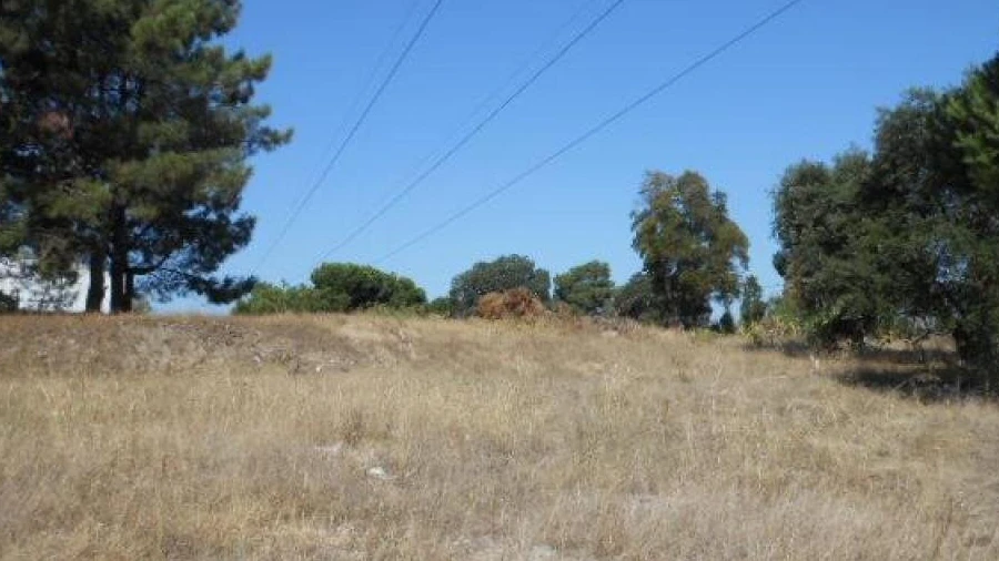 Terreno para Venda em Santo Antonio da Charneca
