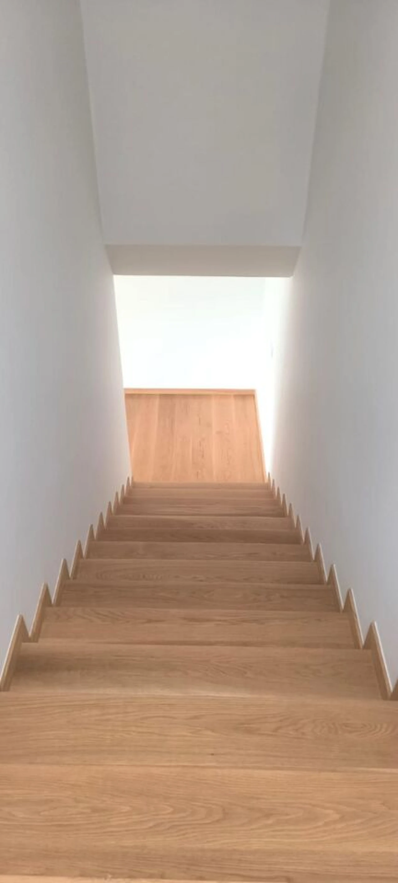 Moradia T3 para Venda em Guarda Foto 12