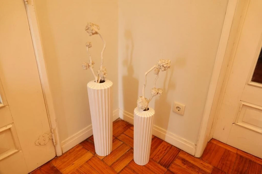 Quinta T0 para Venda em Cidade da Maia Foto 25