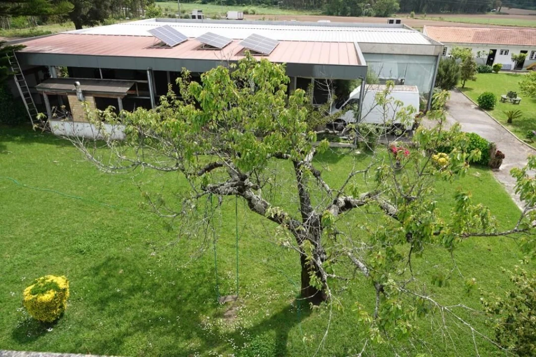 Quinta T0 para Venda em Cidade da Maia Foto 43