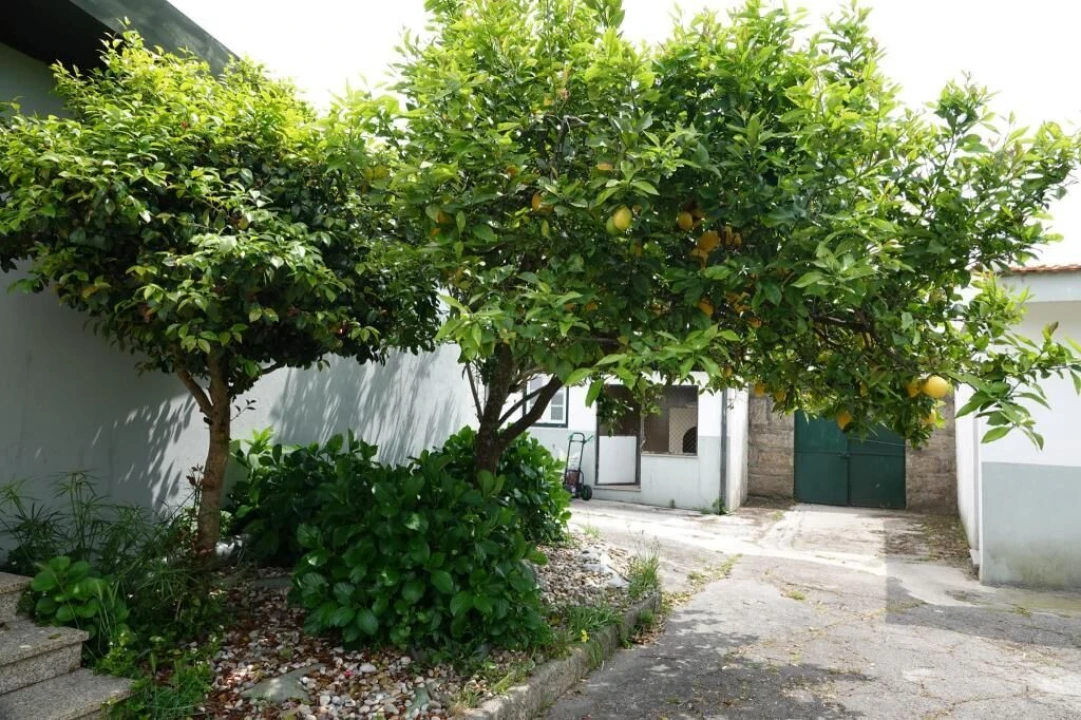 Quinta T0 para Venda em Cidade da Maia Foto 7