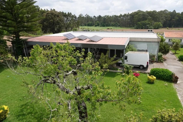 Quinta T0 para Venda em Cidade da Maia Foto 38