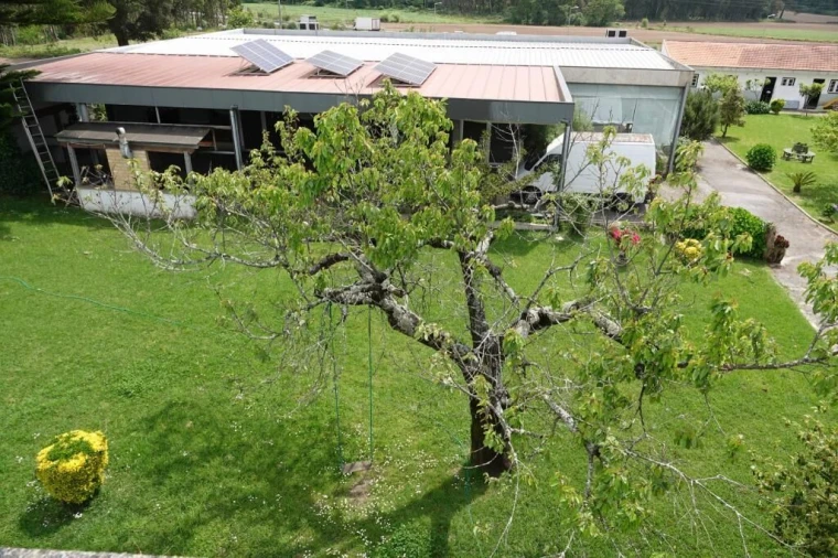 Quinta T0 para Venda em Cidade da Maia Foto 43