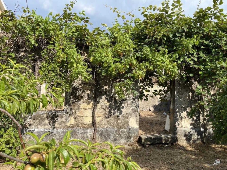 Terreno para Venda em Guarda Foto 28