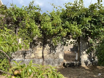 Terreno para Venda em Guarda