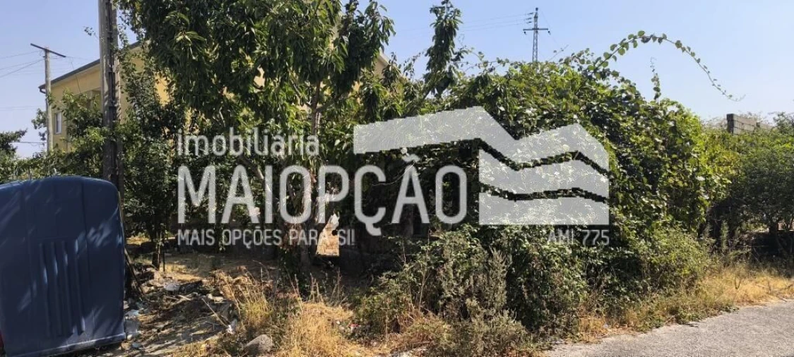 Terreno para Venda em Guarda Foto 4