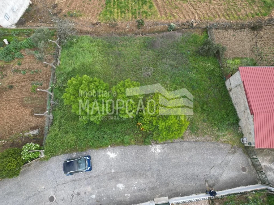 Terreno para Venda em Castro de Avelãs Foto 2