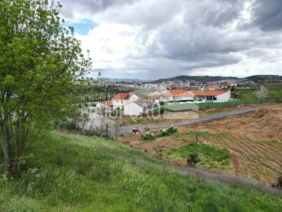 Terreno para Venda em Castro de Avelãs Foto 6