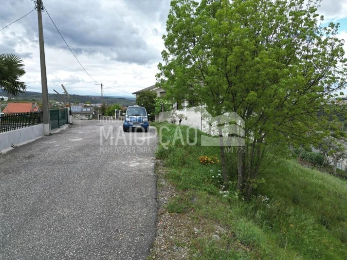 Terreno para Venda em Castro de Avelãs Foto 7