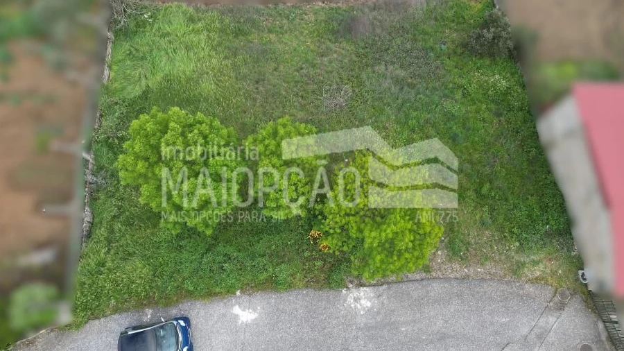 Terreno para Venda em Castro de Avelãs