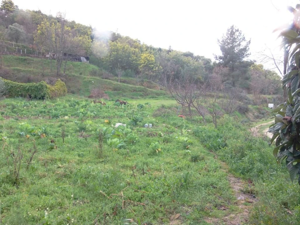 Quinta T0 para Venda em Vela Foto 14