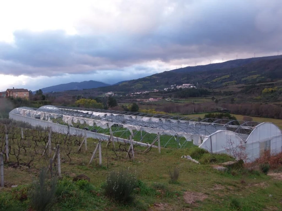 Quinta T0 para Venda em Vela Foto 18