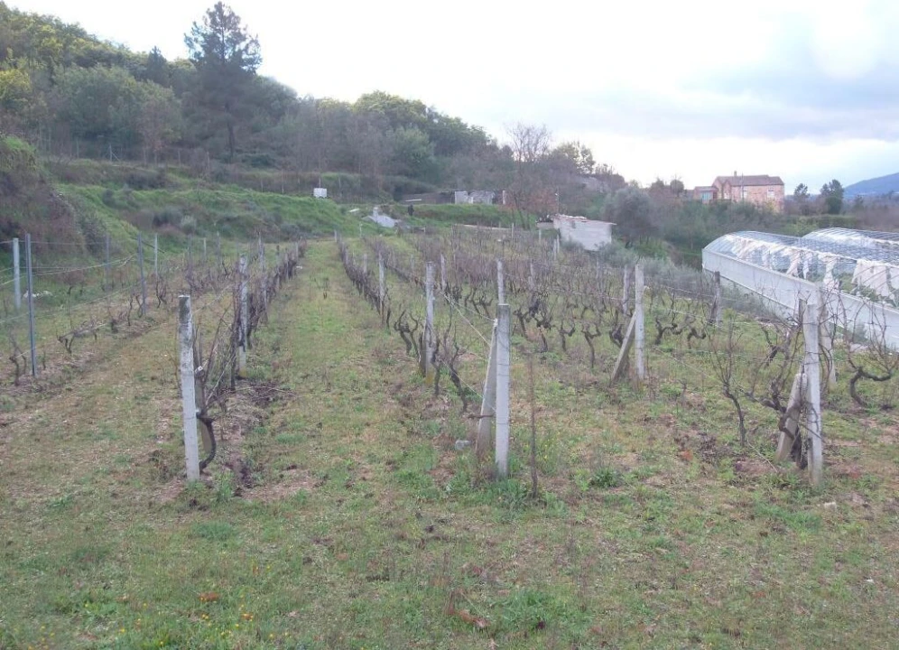 Quinta T0 para Venda em Vela Foto 19