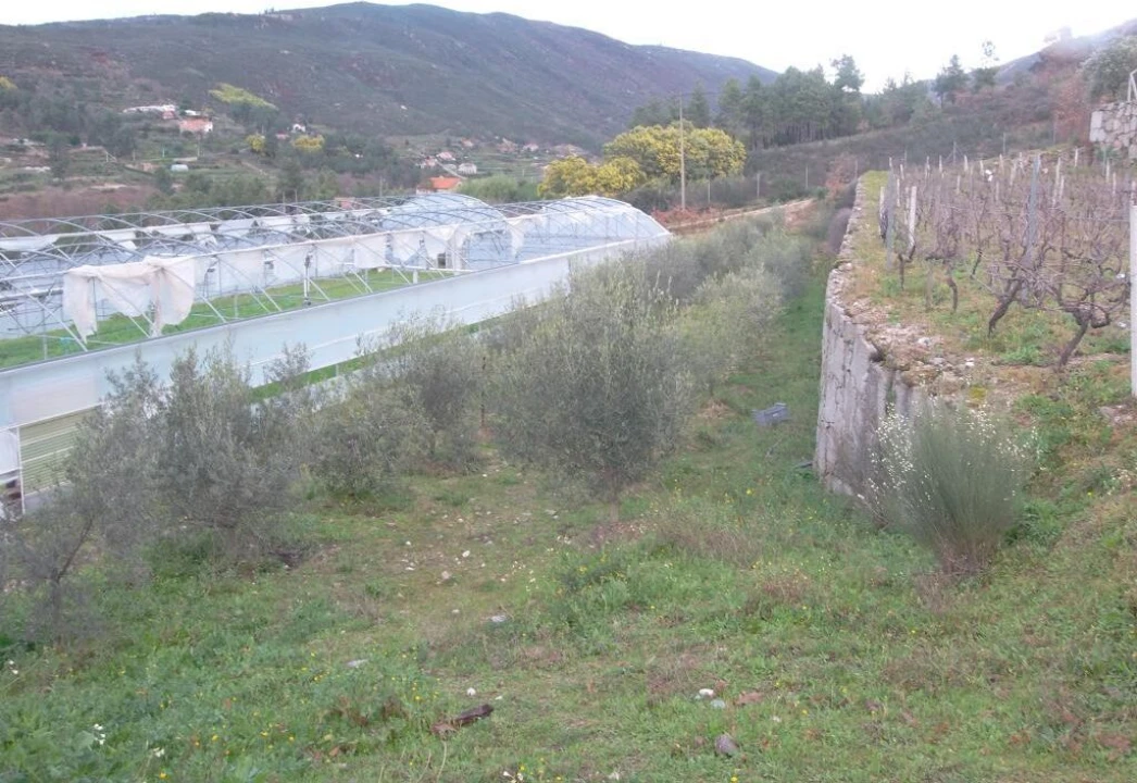 Quinta T0 para Venda em Vela Foto 20