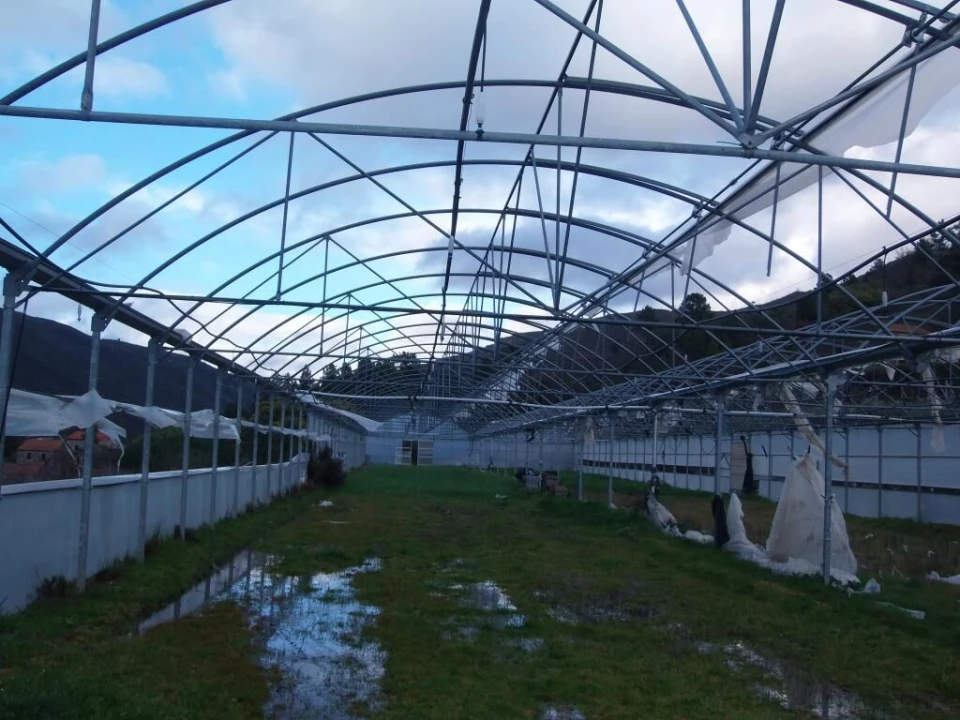 Quinta T0 para Venda em Vela Foto 26