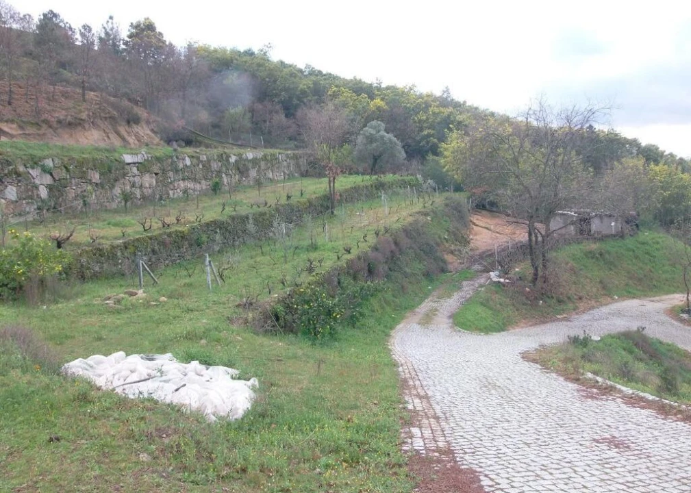 Quinta T0 para Venda em Vela Foto 8