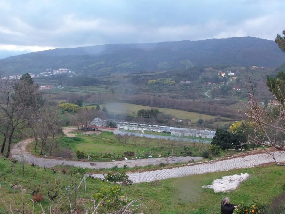 Quinta T0 para Venda em Vela Foto 10