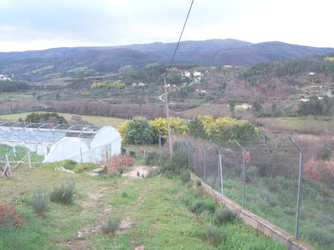 Quinta T0 para Venda em Vela Foto 17