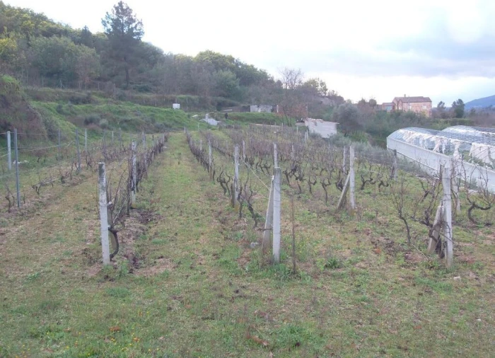 Quinta T0 para Venda em Vela Foto 19