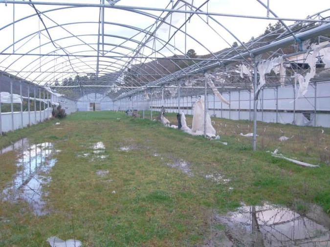 Quinta T0 para Venda em Vela Foto 25