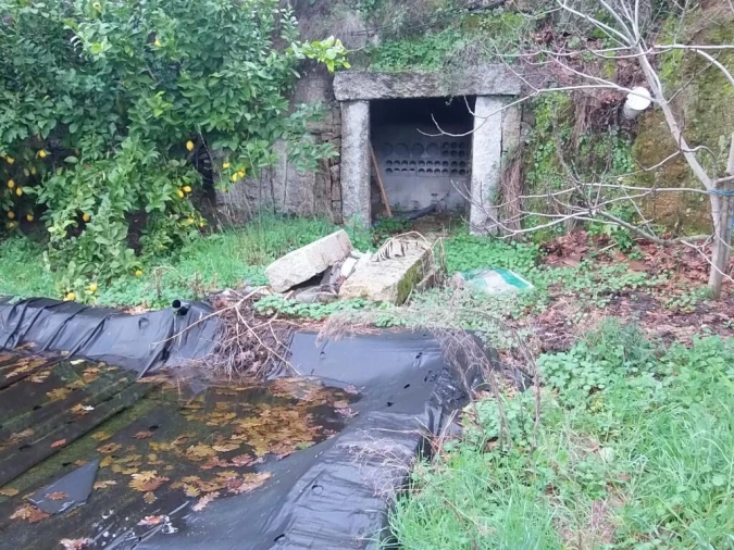 Quinta T0 para Venda em Vela Foto 29